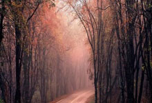 媒体人：辽宁男篮老将李晓旭注销了微博账号.