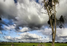 媒体人:辽宁男篮老将李晓旭注销了微博账号.