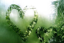 多彩民族韵，共绘同心圆——第十二届全国少数民族传统体育运动会开幕式侧记新华社.：江南体育