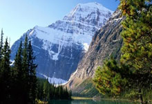 郭艾伦再发声：对方逃避责任，太寒心了北京青年报.：江南体育