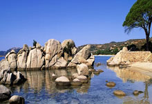 [英超]水晶宫主场战胜伊普斯维奇.